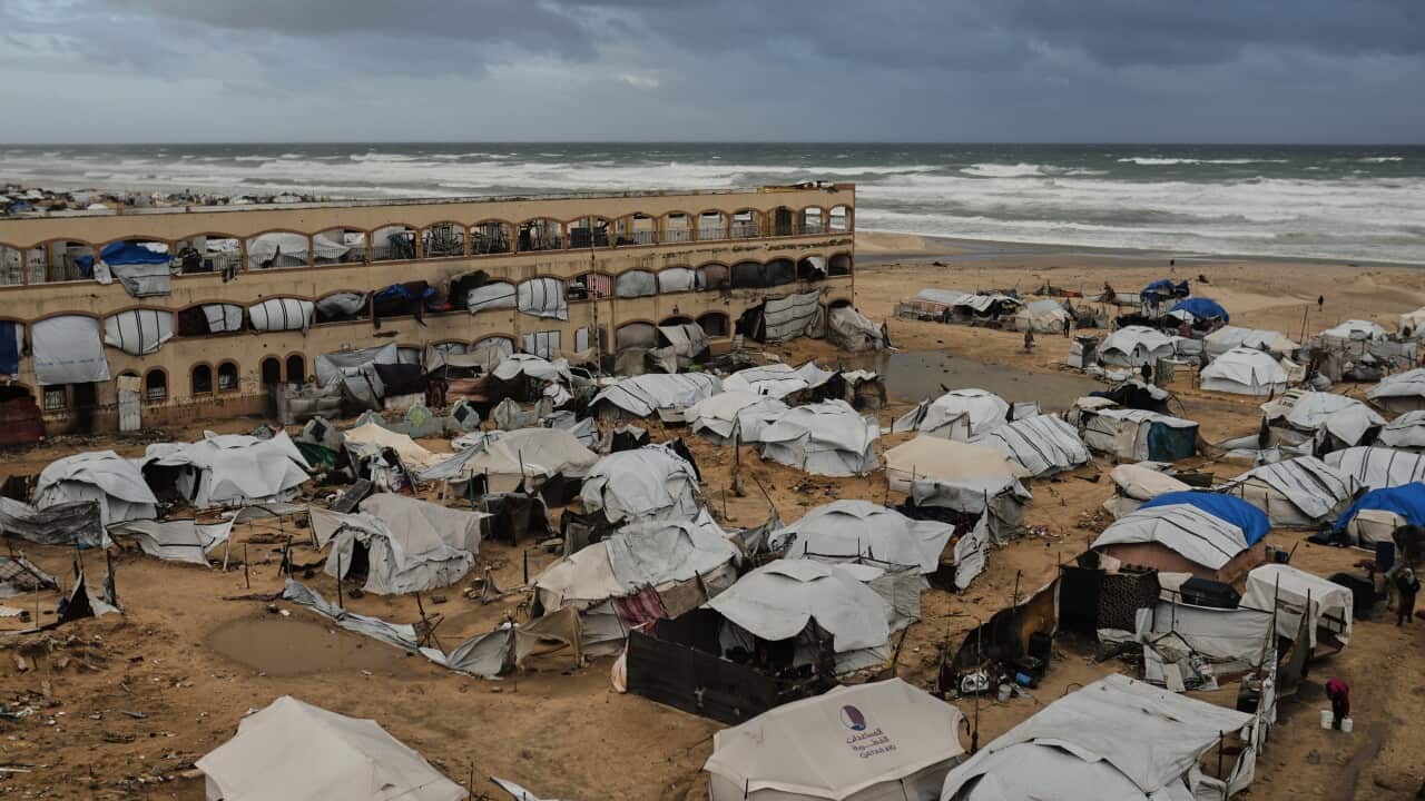 Trump One Year Promises