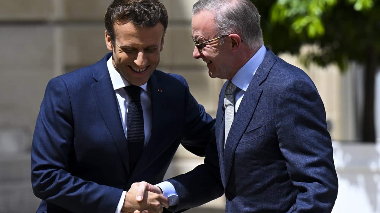 ANTHONY ALBANESE FRANCE VISIT