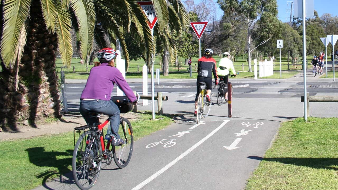 新州政府花1500萬改造街道保持社交距離, 單車徑亦會增加。