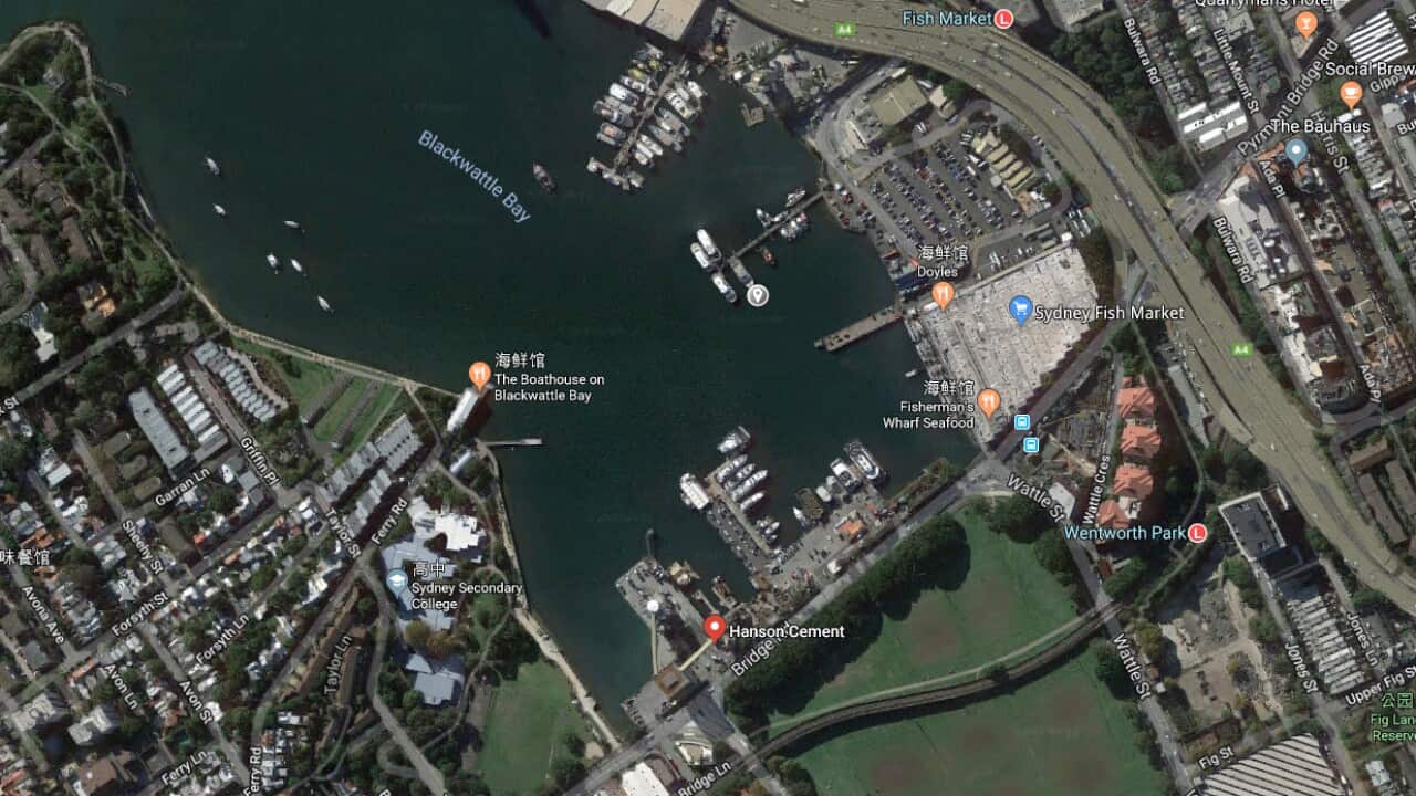 The news site of Sydney Fish Market