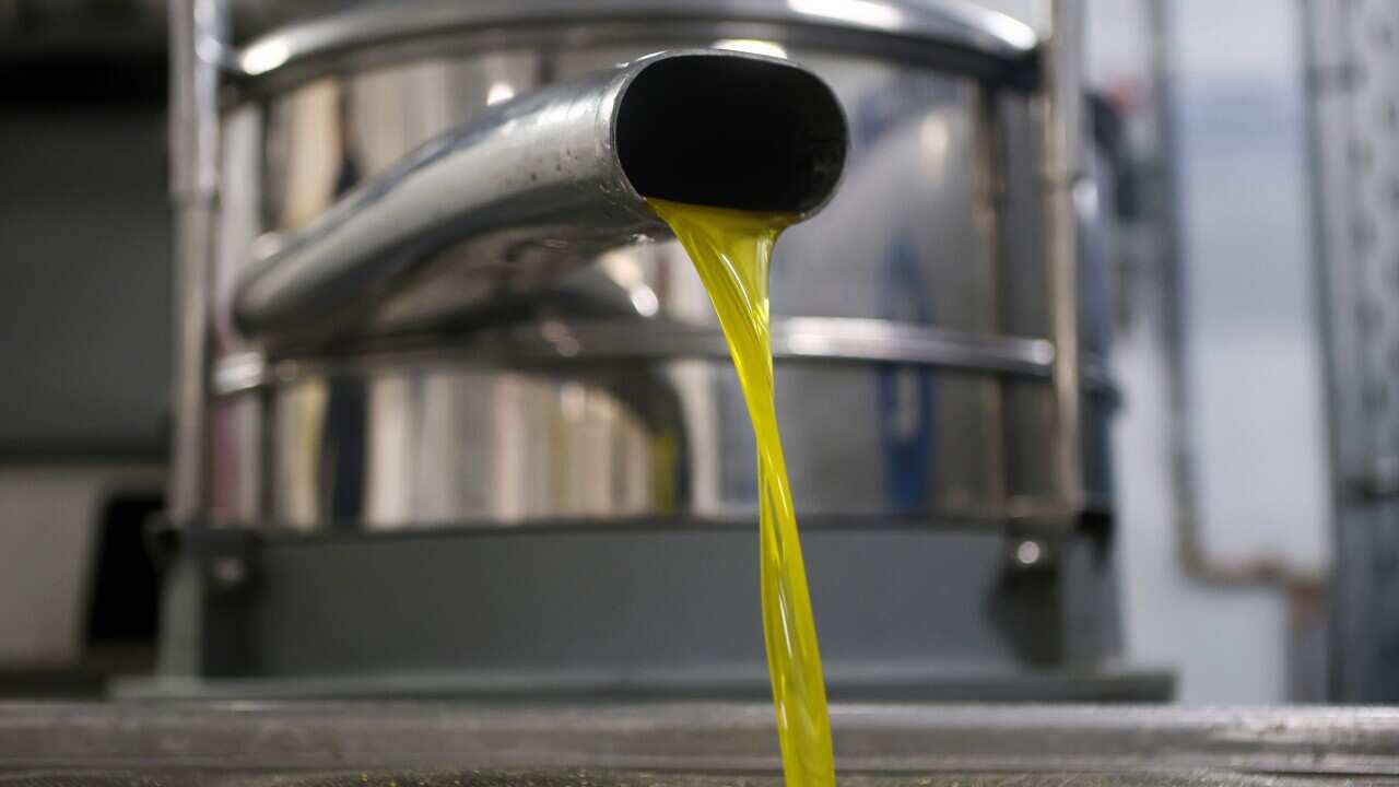 GREECE PHOTO SET AGRICULTURE