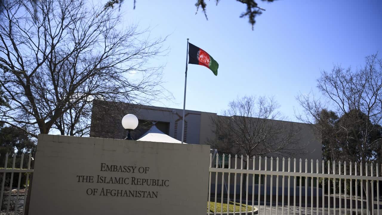 AFGHAN EMBASSY CANBERRA STOCK
