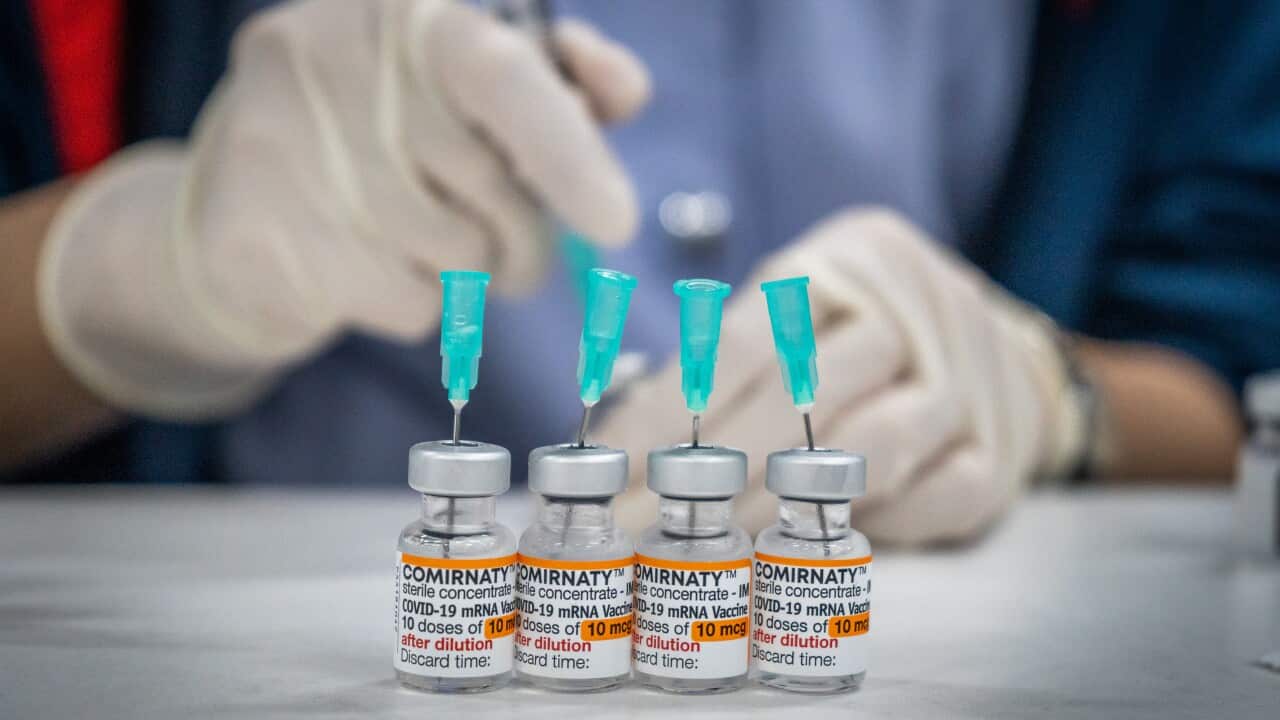 A view of the vials containing the Pfizer-BioNTech COVID-19