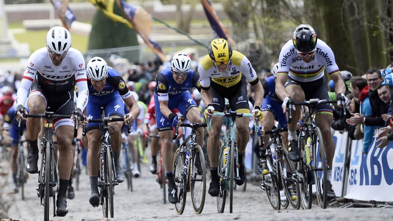 Tour of Flanders