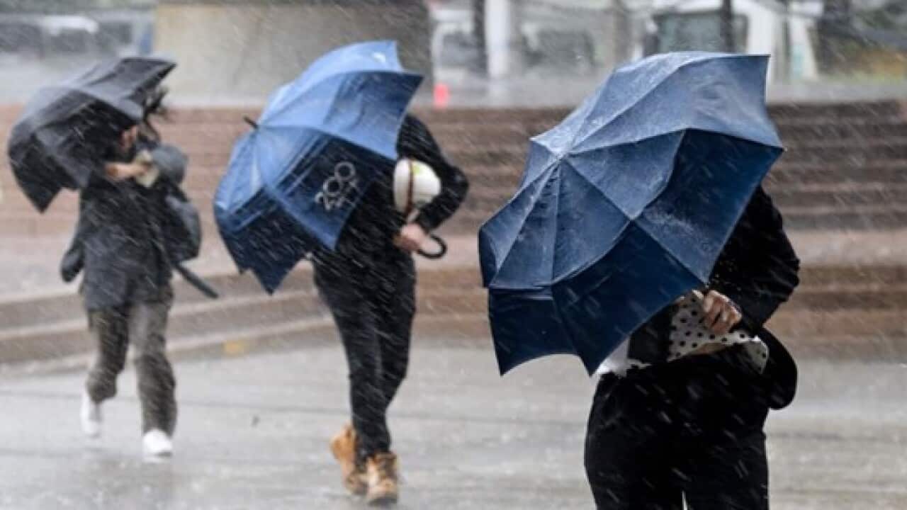 Rain and storms are anticipated across much of eastern and northern Australia in the wake of a tropical cyclone and heatwaves.jpg
