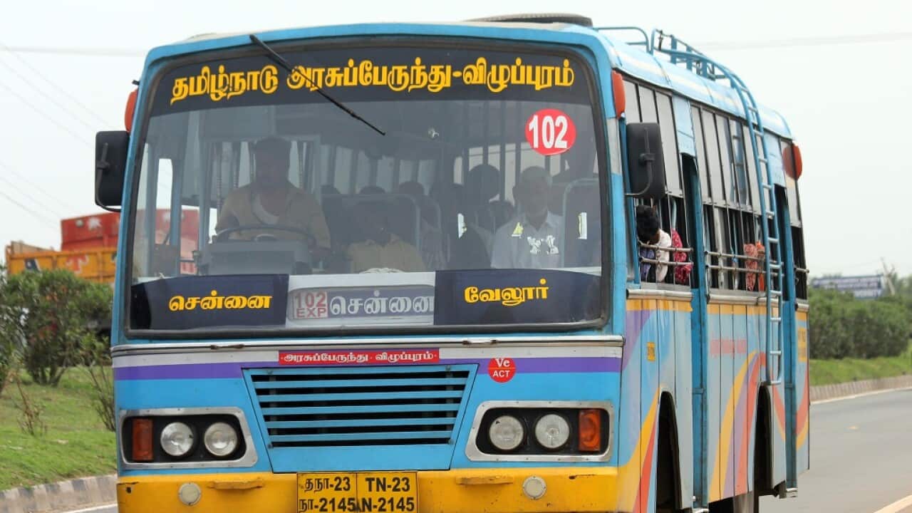 Bus