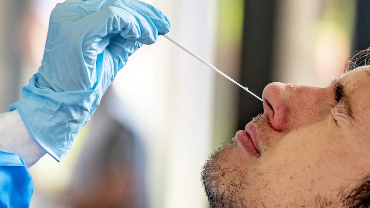 Shortage of corona test capacity in Dutch laboratories