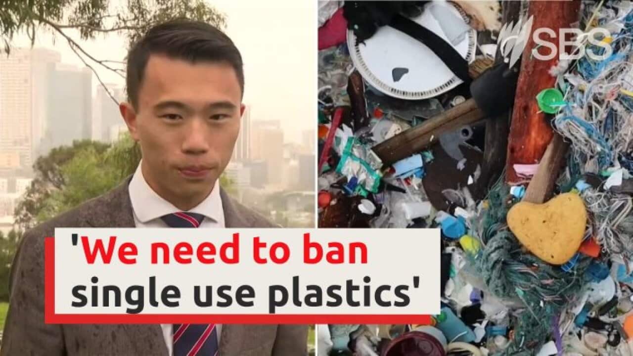 Perth Pollution The Perth bioplastics hub helping to reduce plastic pollution | SBS News