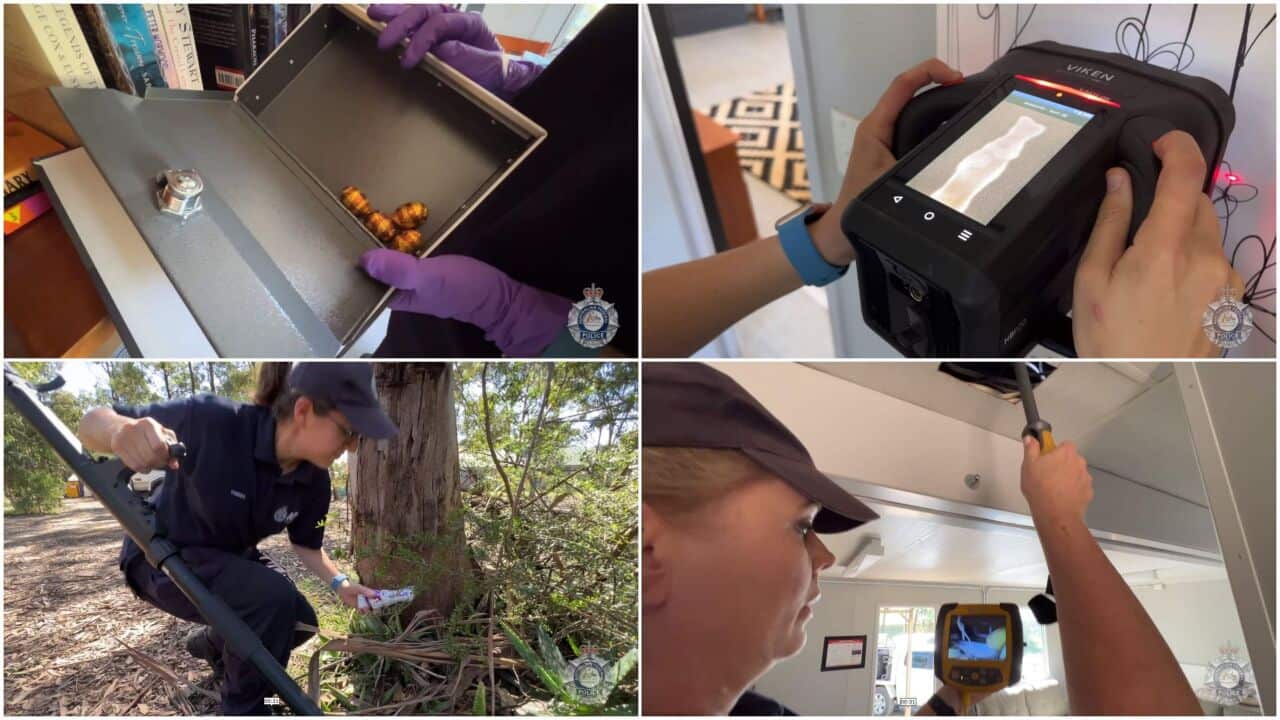 Chocolate concealment no match for AFP eggs-perts