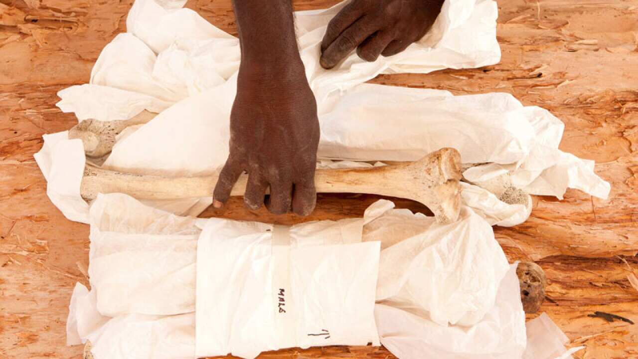 Aboriginal Remains