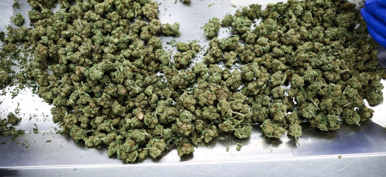 Medicinal cannabis prescriber scrubs false claims but won't notify customers