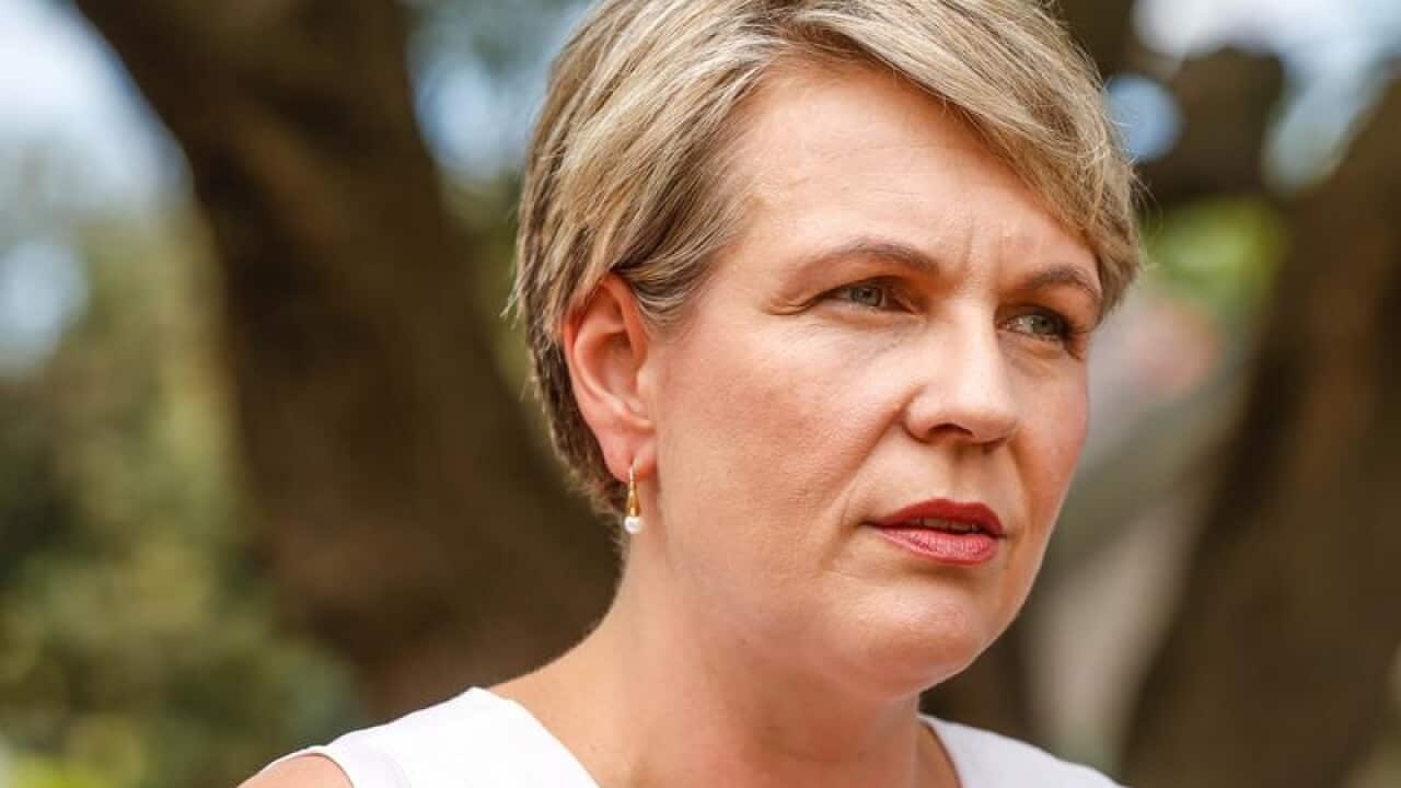 Acting Leader of the Opposition Tanya Plibersek