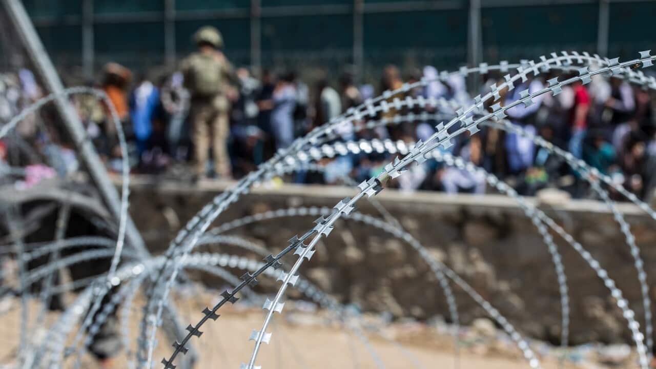 Afghans trying to leave the country following the Taliban takeover