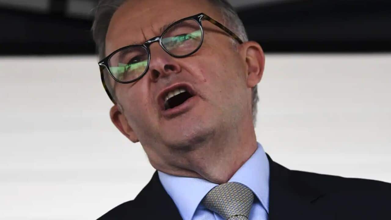 Opposition leader Anthony Albanese.
