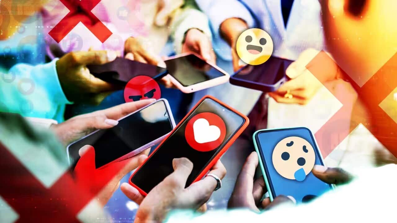 Image for read more article 'Đọc thêm'