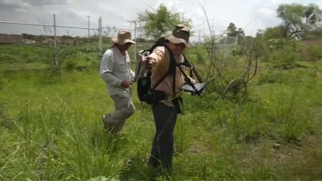 José Luis Silván scanning the ground (AP).jpg