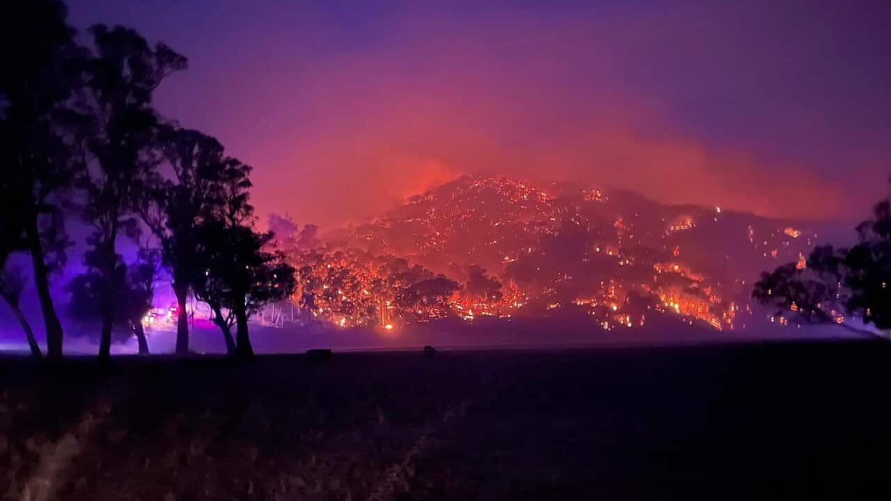 GRASSFIRE VICTORIA