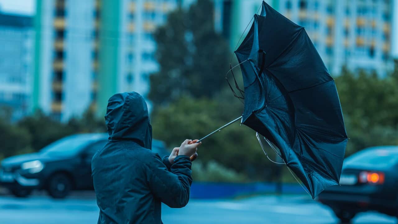 Man with umbrella hiding from wind and rain. Stormy weather