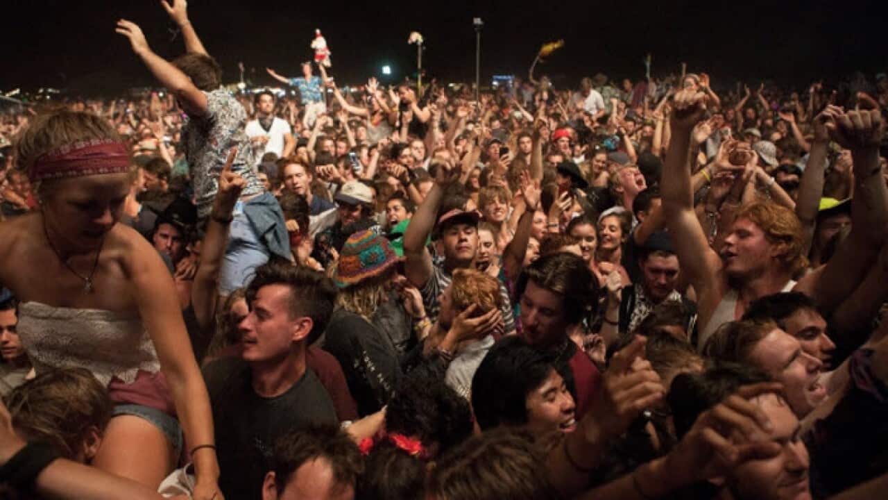 pill testing at festivals