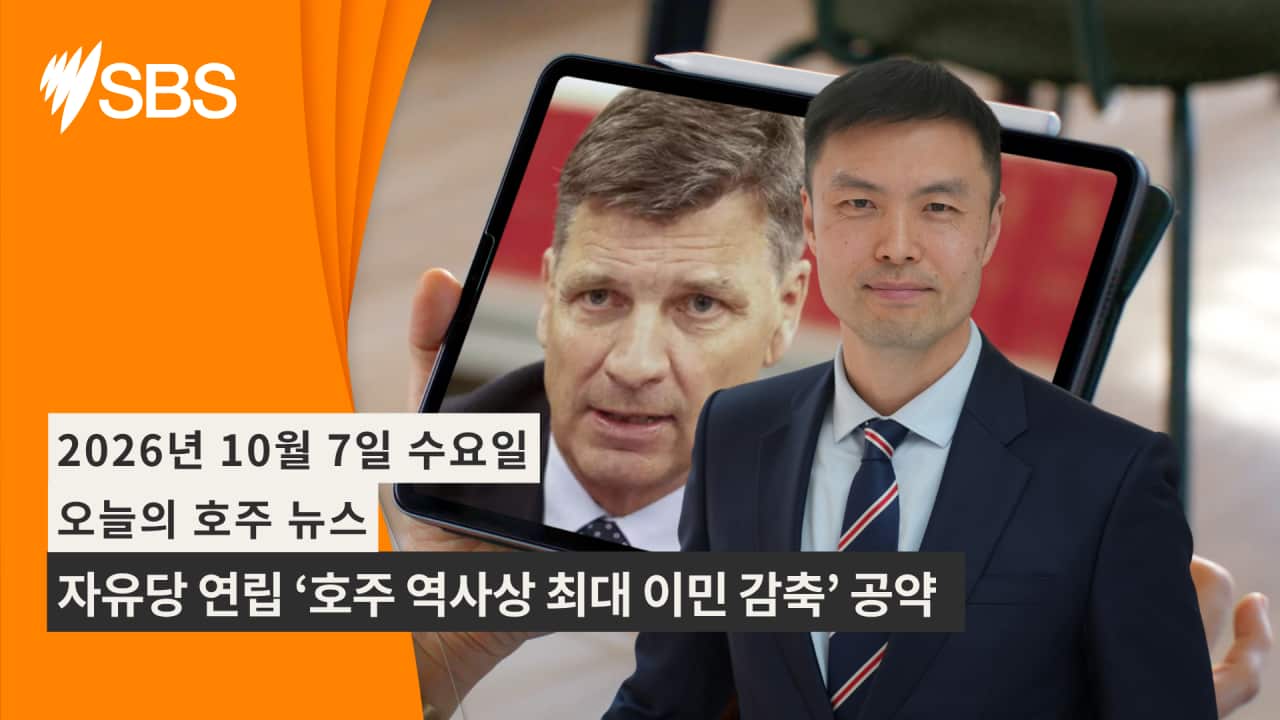 Video Newsflash (18).png