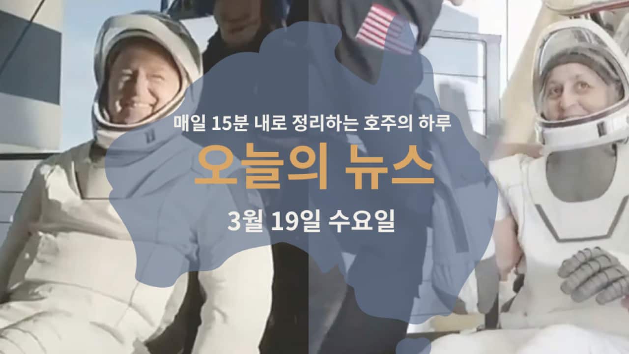 190325 (2).png