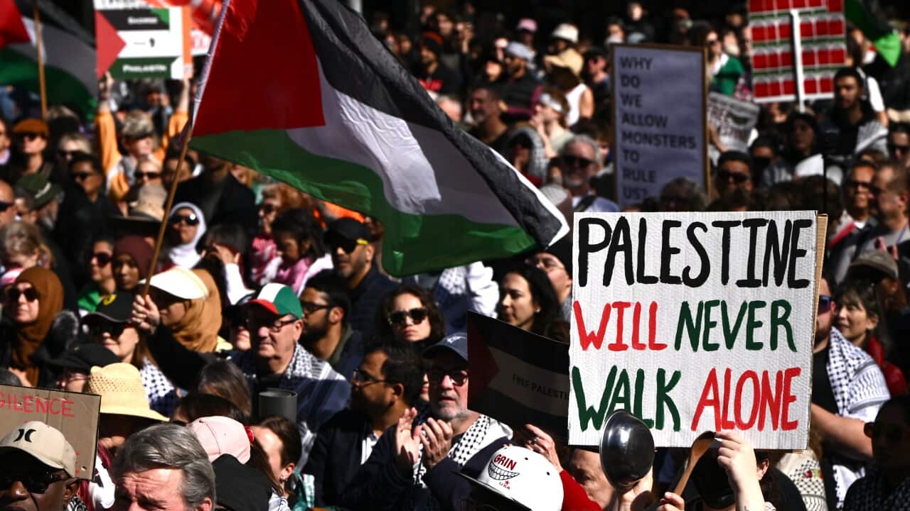 A large crowd of people. Some a holding a large rectangular white sign with the words Palestine will never walk alone.