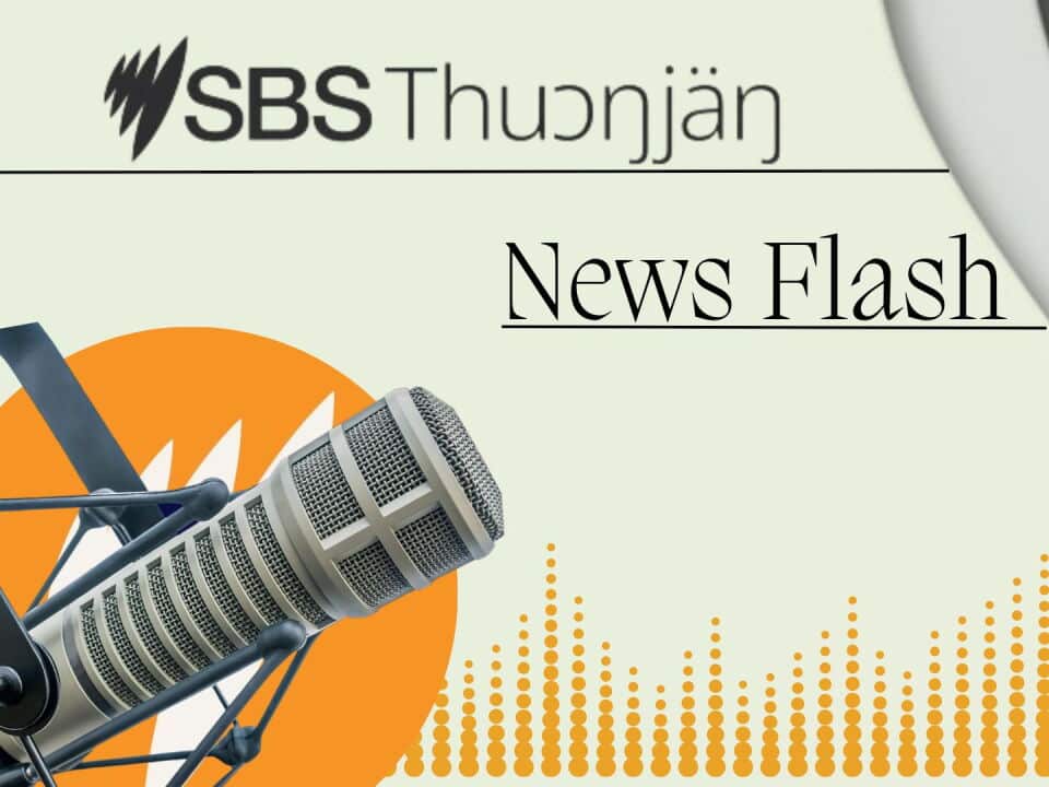 SBS Dinka News Flash