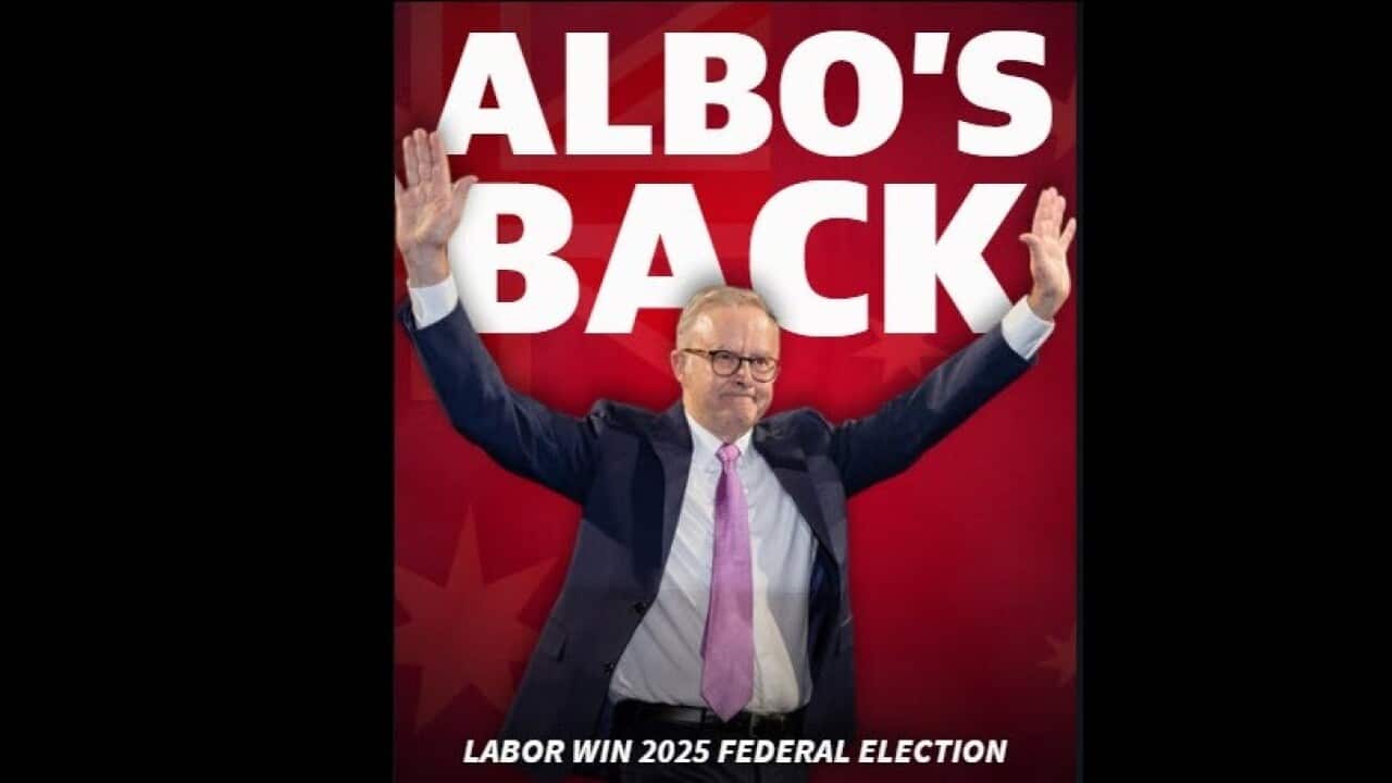 Albo Back FB.jpg