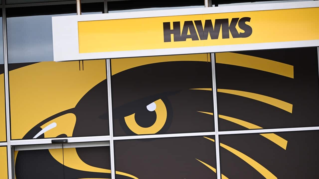 AFL HAWTHORN FOOTBALL CLUB STOCK