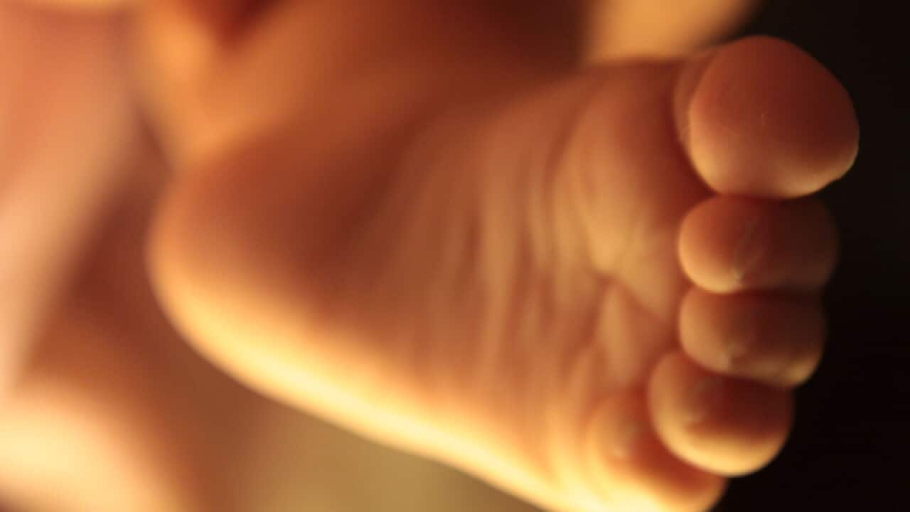 A baby's foot