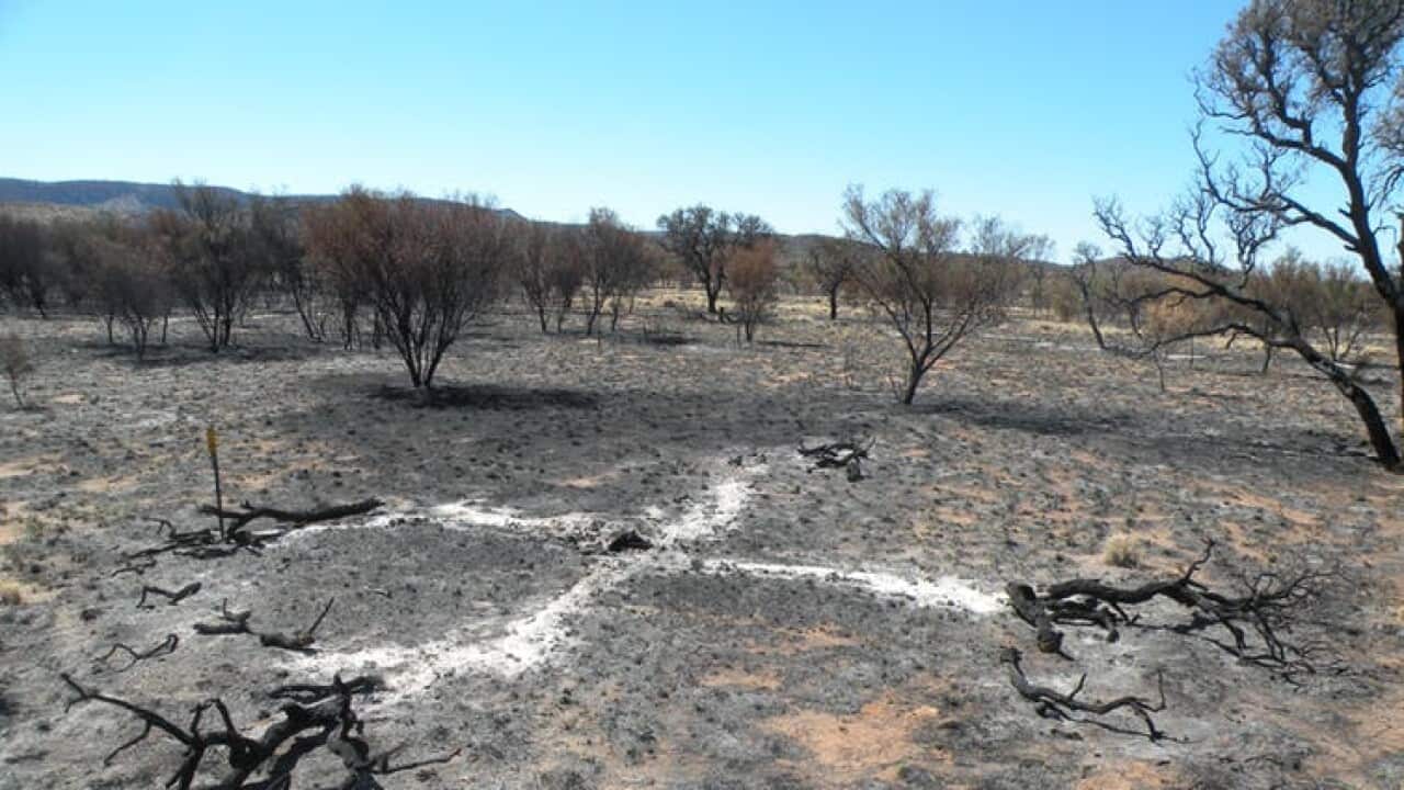 Tjoritja National Park Fires