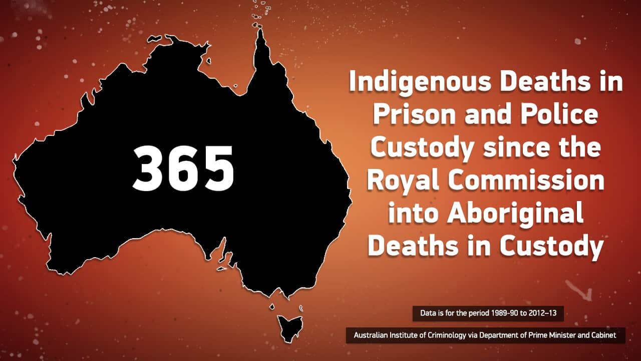 Royal Commission into Aboriginal Deaths in Custody