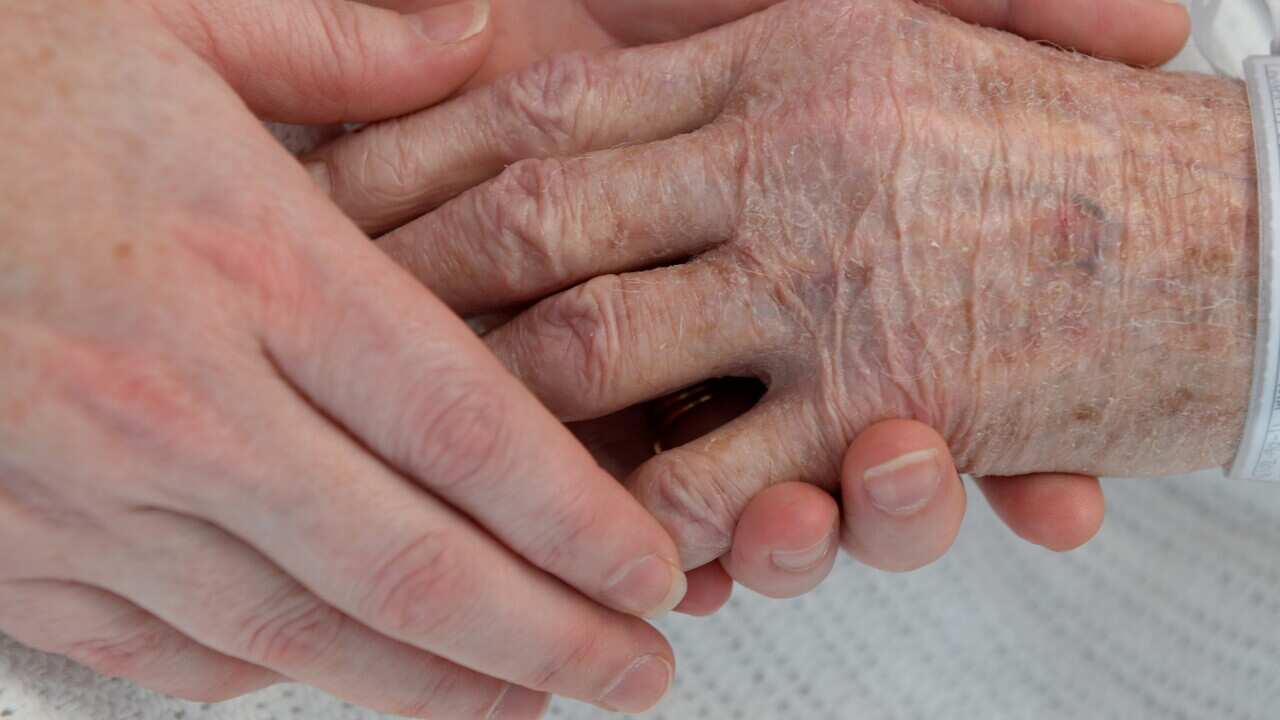 Palliative care - AAP-1.jpg