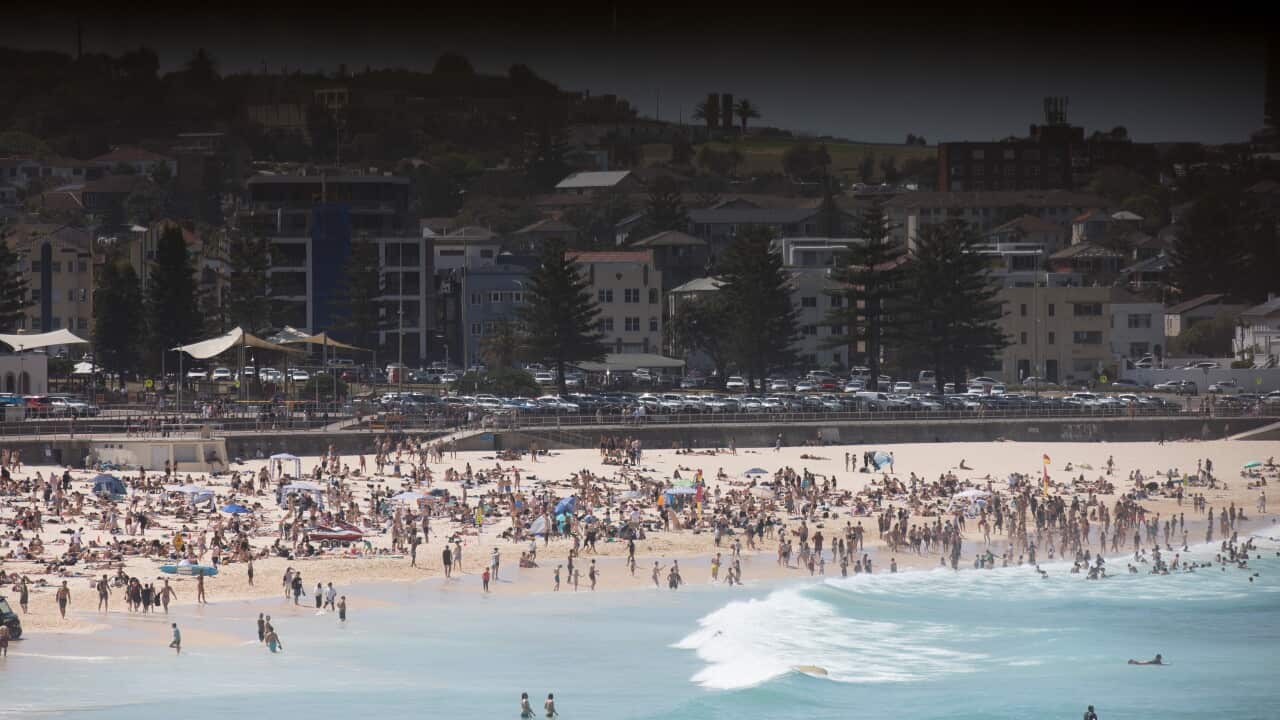 HOT WEATHER SYDNEY