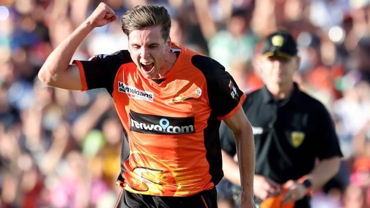 Jhye Richardson celebrates dismissing Glenn Maxwell.