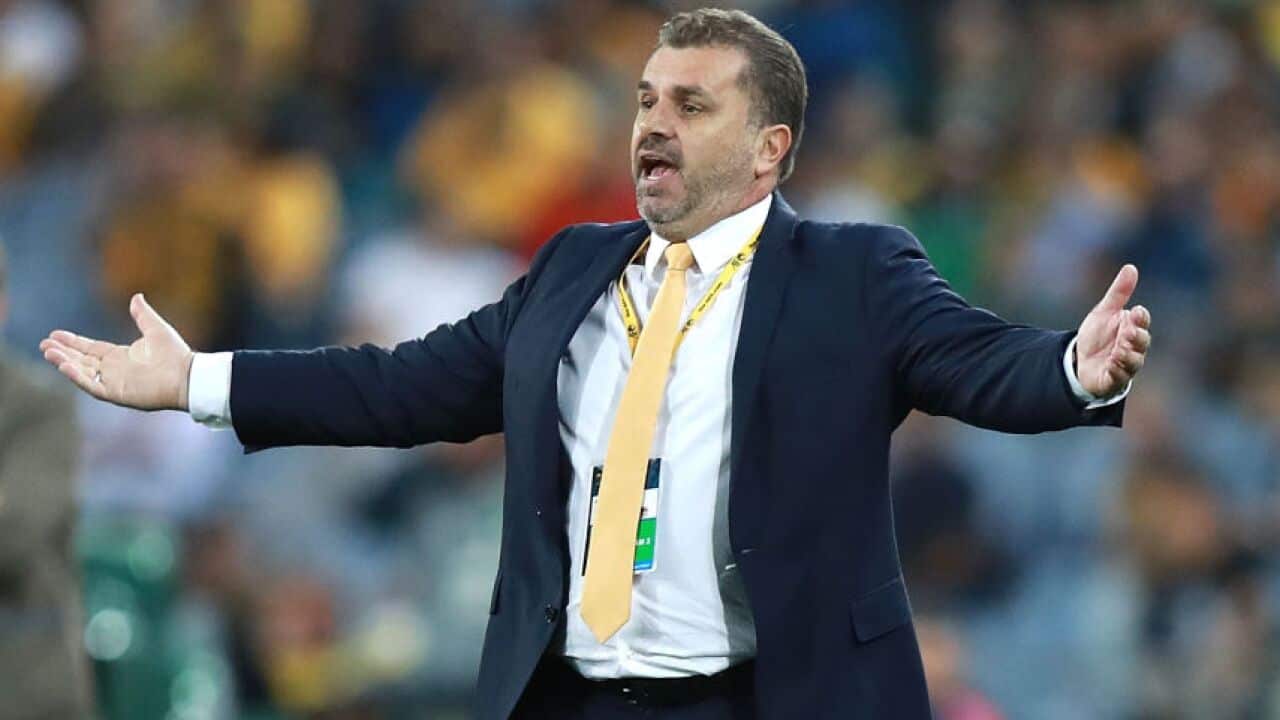 Ange Postecoglou