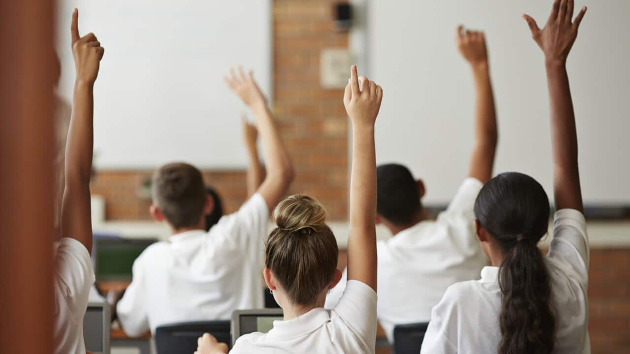 School students with raised hands, back view