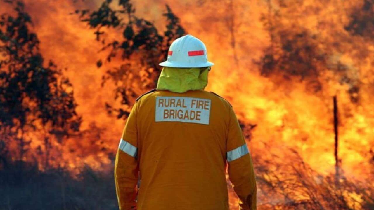 Total fire bans have been declared in a number of New South Wales regions
