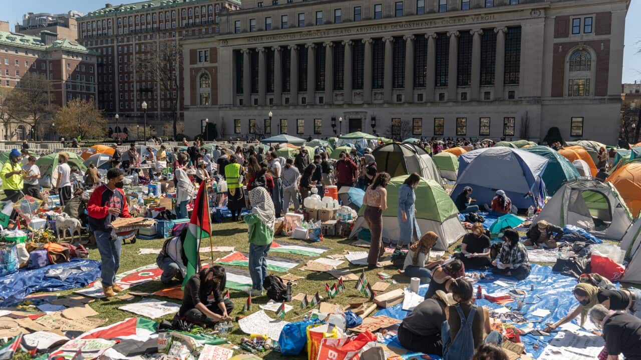 Dozens of university students and tents on the lawn at New York's Columbia University