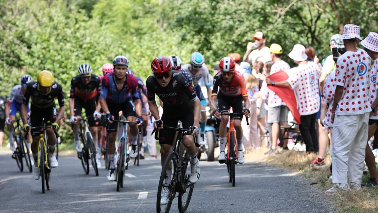 Cyclists competing in the Tour de France as fans standing on the roadside cheer for the riders.