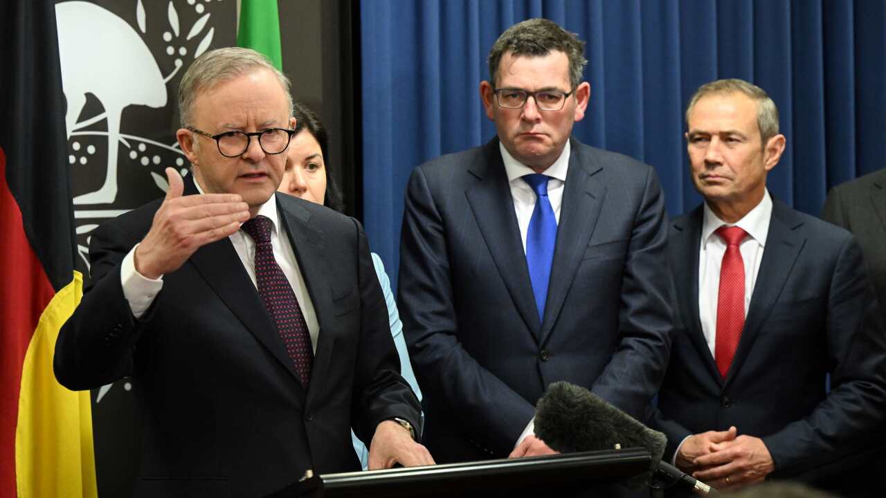 20230816001831448615-original (2).jpg