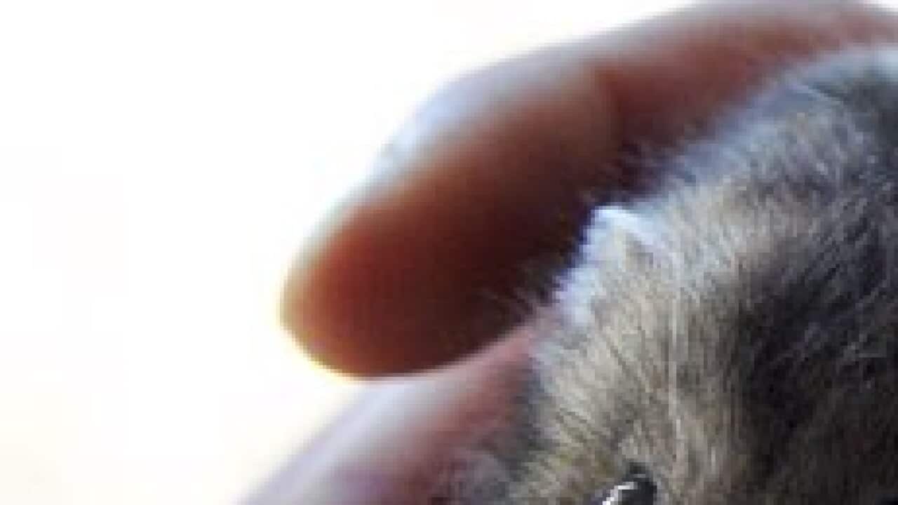 Image for read more article ''