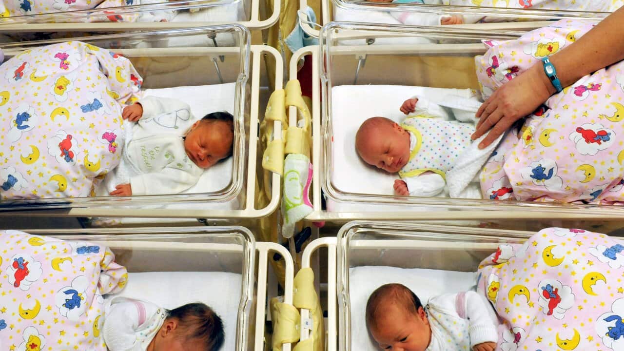 From joy and attachment to anxiety and protectiveness, mothering behavior begins with biochemical reactions.