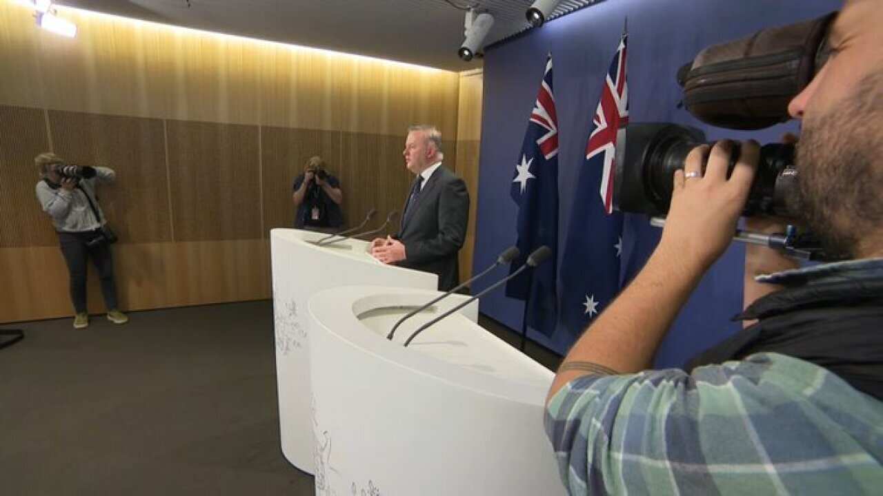 Labor leader Anthony Albanese