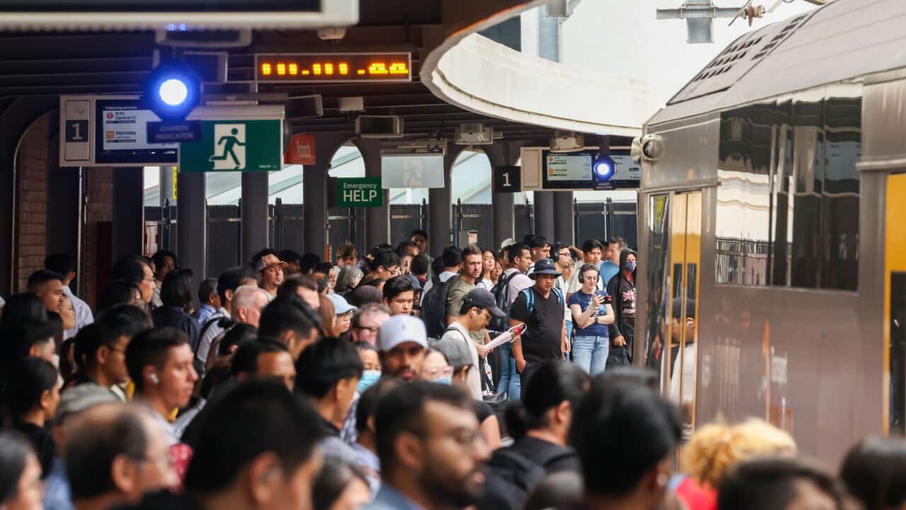 A crowd of people lining up for a Sydney train platform