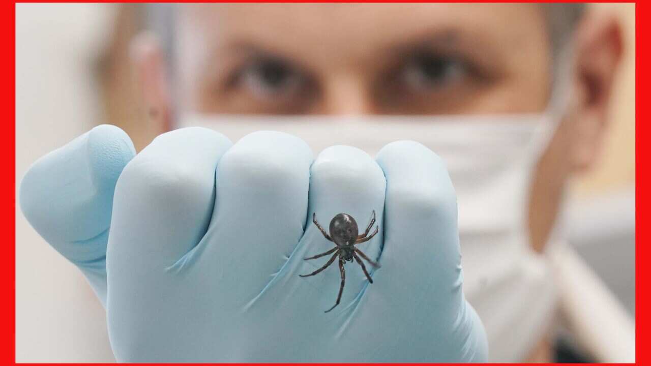 Image for read more article ''