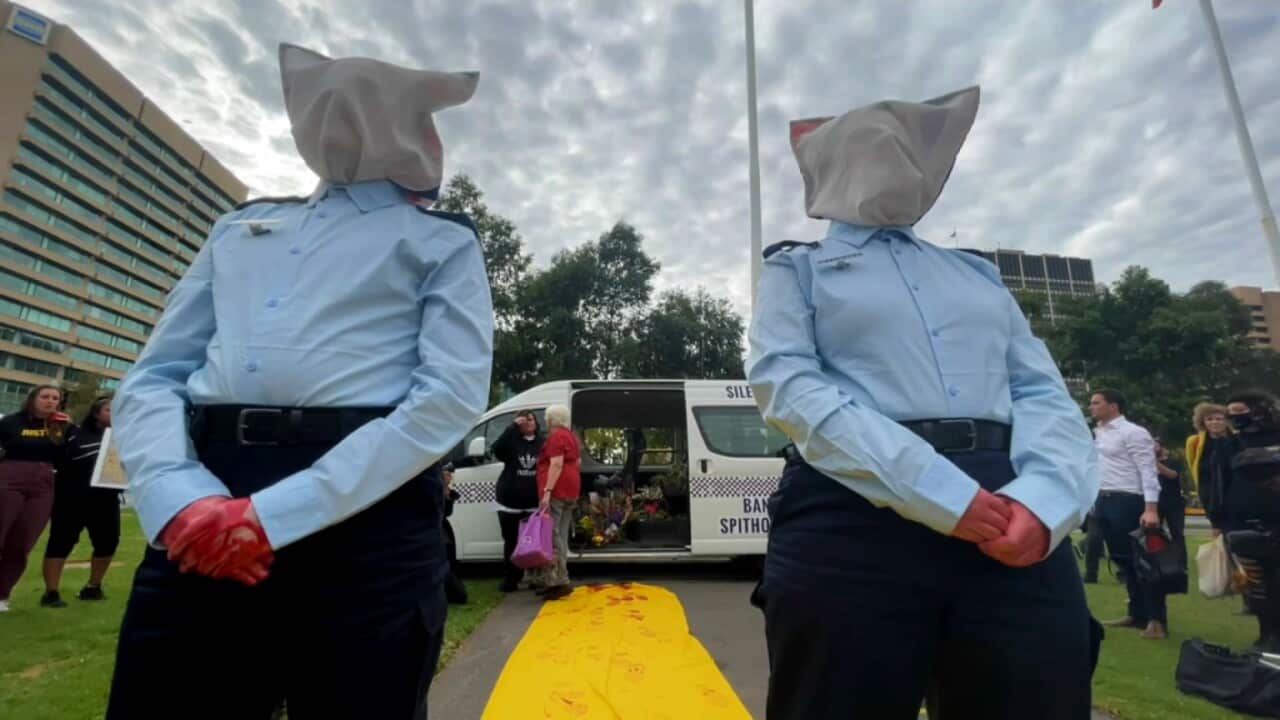 NACA Feature, spit hoods, justice, Aboriginal and Torres Strait Islander Peoples,