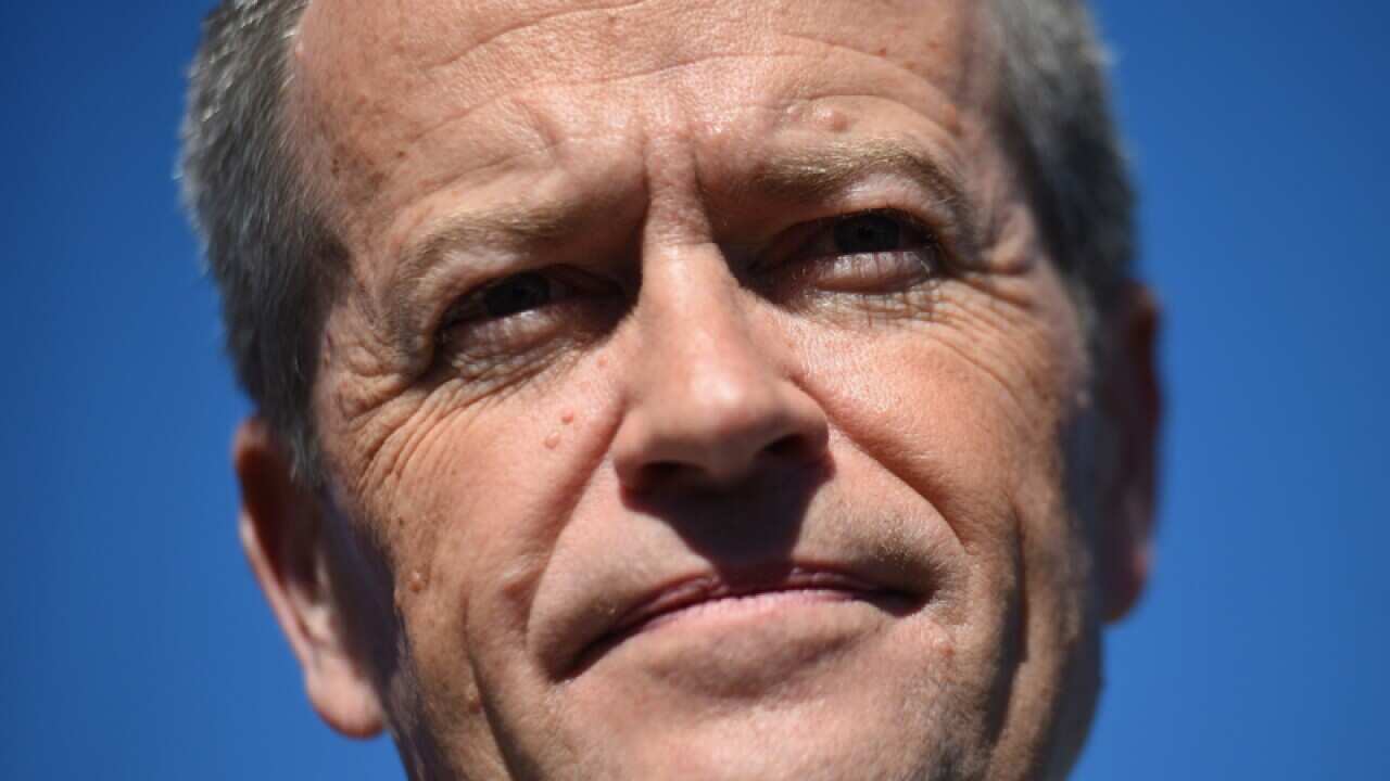 Leader of the Opposition Bill Shorten