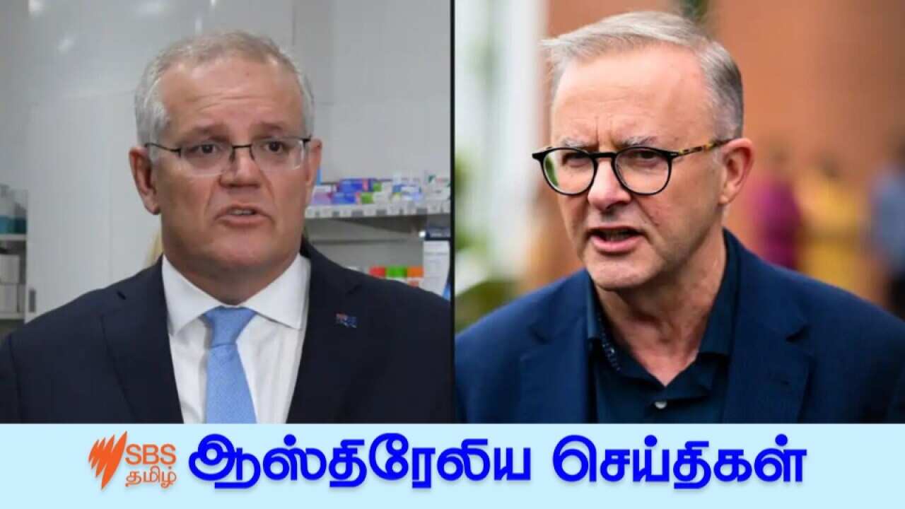 Morrison and Albanese