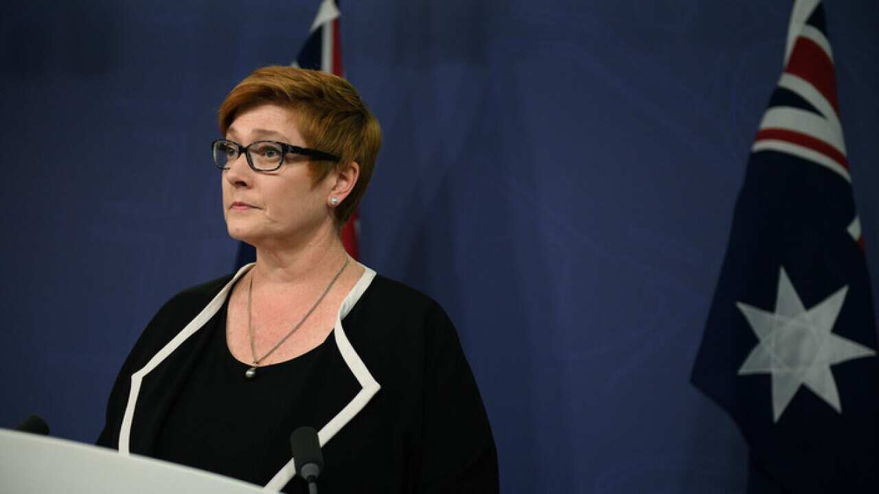 Defence Minister Marise Payne addresses media in Sydney, Wednesday, April 18, 2018